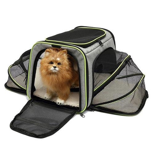 Airline Approved Cat Bag Carrier | Transportin Cat Carriers Bags - Pet