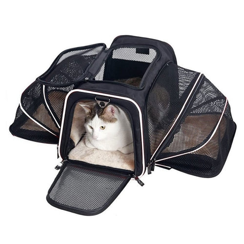 Airline Approved Cat Bag Carrier | Transportin Cat Carriers Bags - Pet