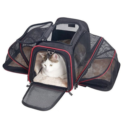 Airline Approved Cat Bag Carrier | Transportin Cat Carriers Bags - Pet